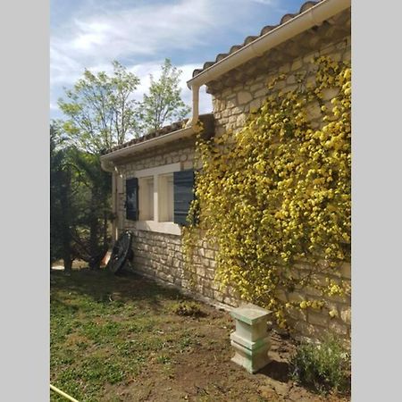 Appartement 2 Pers Avec Acces Piscine Saint-Rémy-de-Provence エクステリア 写真