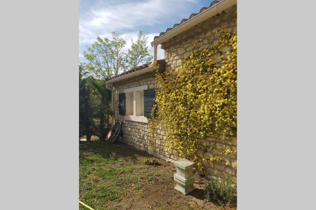 Appartement 2 Pers Avec Acces Piscine Saint-Rémy-de-Provence エクステリア 写真